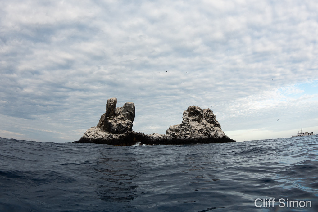 Roca Partida